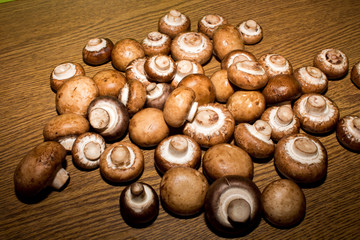 Champignons
