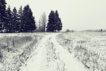 landscape winter road