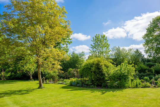Gartenanlage mit Rasenfl&auml;che im Sommer