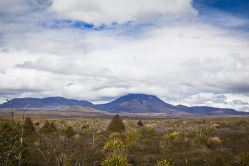 Fototapeta premium Tongariro National Park Neuseeland