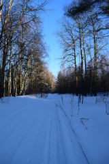 зимняя прогулка