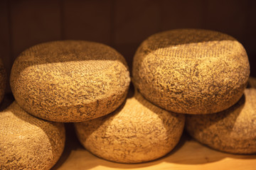 Traditional italian pecorino cheese in the organic shop in Pienza, Italy