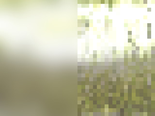 Set of abstract backgrounds gold