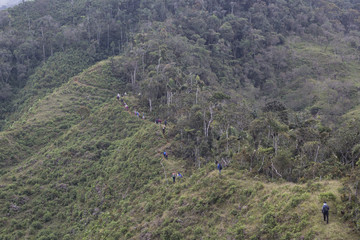 exploradores caminantes