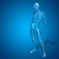 Concept or conceptual 3D human man skeleton anatomy