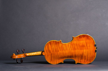violin on black background