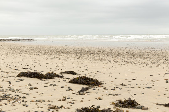 Quiet  beach in Normandy