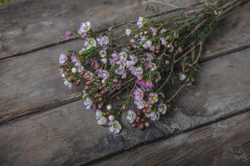 Bouquet of flowers on wooden background