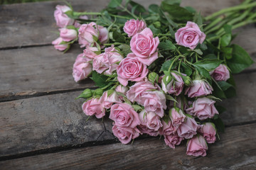 Fresh bouquet of pink roses