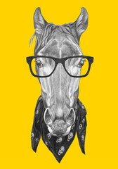Portrait of Horse with glasses and scarf. Hand drawn illustration.