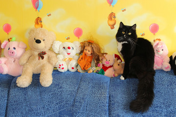 black cat sitting next to toys