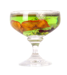 Green  spa space candle