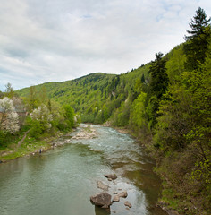 Panorama of Prut river in Carpathians