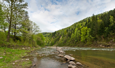 Fototapeta na wymiar River in mountains in spring