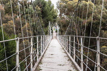 Spruce Street suspension pedestrian bridge in San Diego, California, built in 1912. 