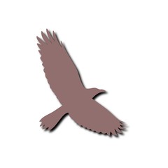 Crow icon