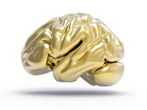 Isolated 3D Brain Illustration