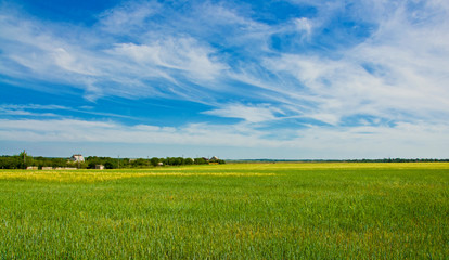 Obraz premium Beautiful landscape