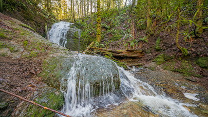 Forest waterfall, Coal creek falls, Issaquah, Washington State