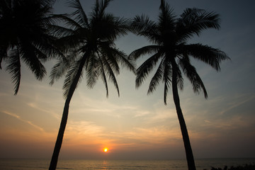 Fototapeta na wymiar Coconut palm tree silhouettes at sunset (sunrise)
