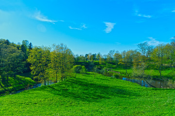 Obraz premium Spring landscape green country park