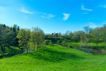 Spring landscape of green country park
