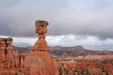 Fototapeta na wymiar Brice Canyon National Park in Utah, USA