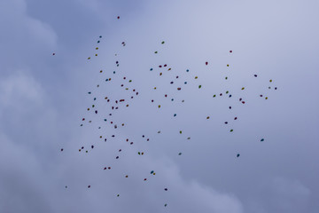 Balony © GrzegorzZielono