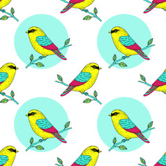 Vector cute colorful canary bird seamless pattern, hand drawn parrot illustration