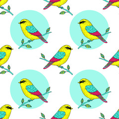 Vector cute colorful canary bird seamless pattern, hand drawn parrot illustration