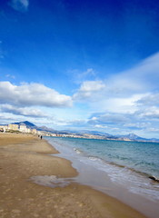 beach with walkers