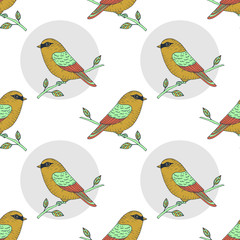 Vector cute colorful canary bird seamless pattern, hand drawn parrot illustration