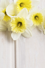 Obraz na płótnie Canvas Yellow daffodils on wooden background