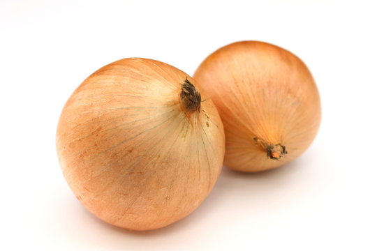 Onion on isolated background