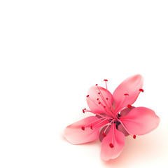 Spring Blossom Flower - square 3d illustration background 
