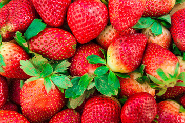 Fresh Strawberry Background photo natural berries