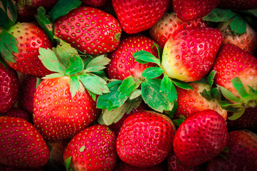Fresh Strawberry Background photo natural berries