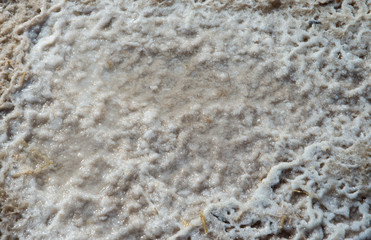 salt 