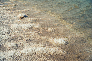 salt 