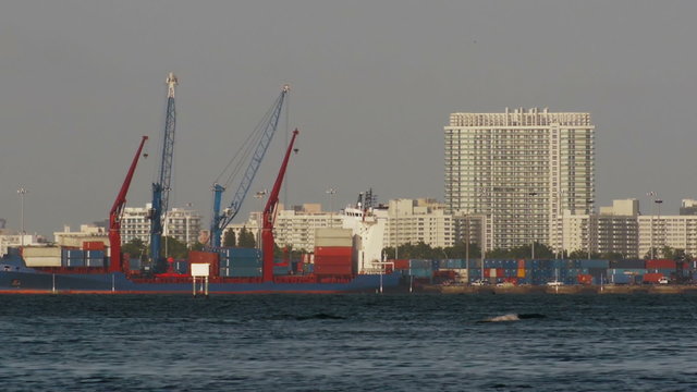 Port Of Miami with Cranes Loading Ships Logos Removed