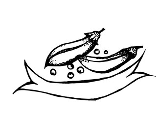 Vector illustration of ripe bean.