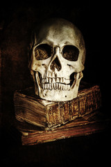 Stillleben mit Totenkopf