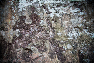 stone Background.