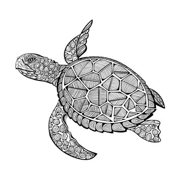 tatoo sea turtle