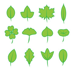 Leaves icon set, Set of green Leaves