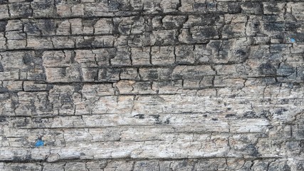 old wooden plank texture background