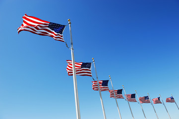 USA flags in a row waving in the wind