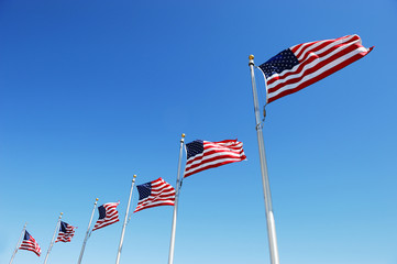 USA flags in a row waving in the wind