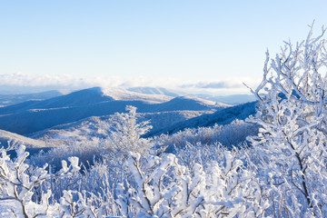 Hiking along the Appalachian Trail in the winter snow-covered landscape at the Roan Highlands - 102889018