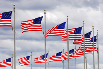 USA flags in a round curve waving in the wind